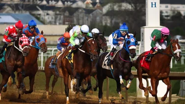 Mychel Sánchez va por tres Stakes este sábado en Laurel Park 