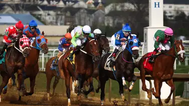 Mychel Sánchez va por tres Stakes este sábado en Laurel Park Mychel Sánchez va por tres Stakes este sábado en Laurel Park