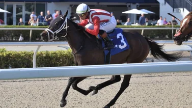 Irad Ortiz Jr. en carrera en Gulfstream Park.