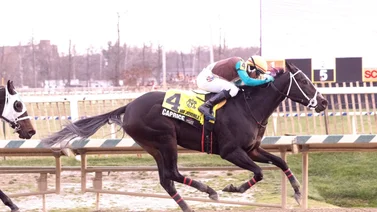 José Gregorio Torrealba cerró triunfante en Laurel Park
