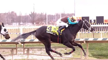 José Gregorio Torrealba cerró triunfante en Laurel Park José Gregorio Torrealba cerró triunfante en Laurel Park
