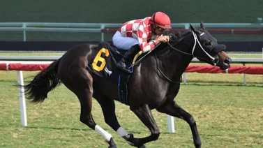 Jinete Luis Sáez en Gulfstream Park.