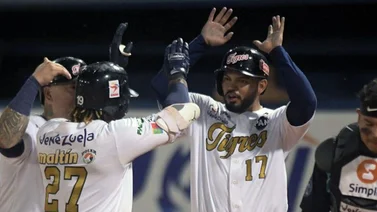 LVBP: Tigres de Aragua se impuso a Magallanes y espera por Leones o Tiburones en el comodín