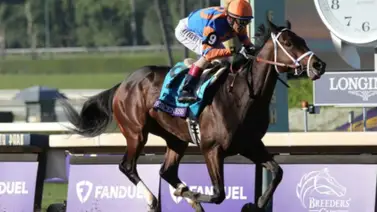 Gaceta Hípica Internacional arrasó en Tampa Bay Downs Gaceta Hípica Internacional arrasó en Tampa Bay Downs