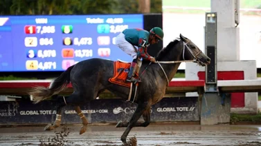 Gaceta Hípica Internacional acertó seis ganadores en Laurel Park