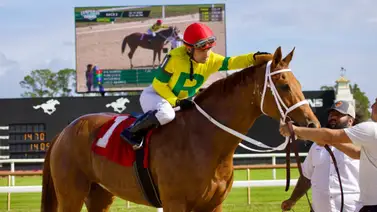 Trifecta criolla en Tampa Bay Downs abonó $27 Trifecta criolla en Tampa Bay Downs abonó $27