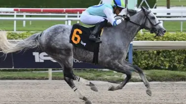 “Back to Back” para Ismeiro Villalobos en la jornada de Laurel Park “Back to Back” para Ismeiro Villalobos en la jornada de Laurel Park