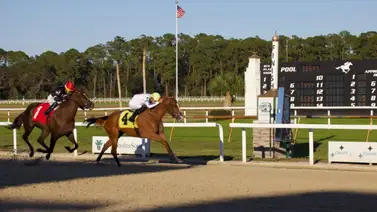 Mira cómo Samuel Marín consiguió el “Hat-tricks” hoy Tampa Bay Downs Mira cómo Samuel Marín consiguió el “Hat-tricks” hoy Tampa Bay Downs