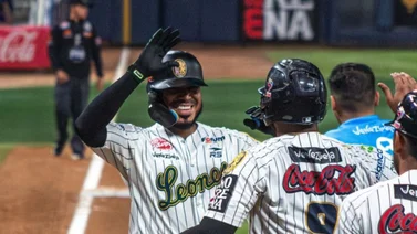 LVBP: ¿Quién ganó la serie particular entre Leones y Tigres en la ronda regular? (+video)