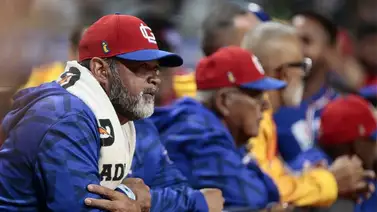 LVBP: Tiburones de La Guaira y los principales factores que pesaron en su eliminación LVBP: Tiburones de La Guaira y los principales factores que pesaron en su eliminación