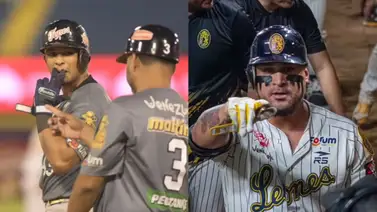LVBP: Tigres y Leones fueron los equipos que más batearon durante la temporada regular (+video) LVBP: Tigres y Leones fueron los equipos que más batearon durante la temporada regular (+video)