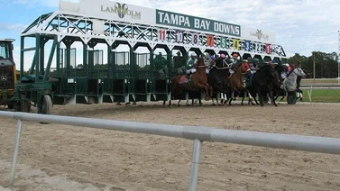 Excelente acierto de Gaceta Hípica Internacional al indicar Trifecta de $45.95 en la jornada de Tampa Bay
