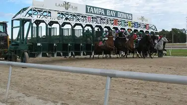 Excelente acierto de Gaceta Hípica Internacional al indicar Trifecta de $45.95 en la jornada de Tampa Bay Excelente acierto de Gaceta Hípica Internacional al indicar Trifecta de $45.95 en la jornada de Tampa Bay