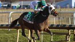 Gaceta Hípica Internacional dio trifecta en Stakes de Laurel Park que pagó $146 