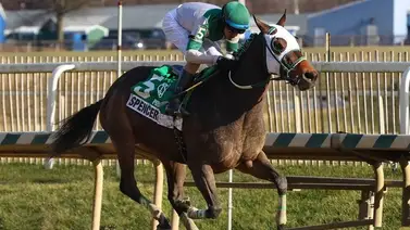 Gaceta Hípica Internacional dio trifecta en Stakes de Laurel Park que pagó $146  Gaceta Hípica Internacional dio trifecta en Stakes de Laurel Park que pagó $146