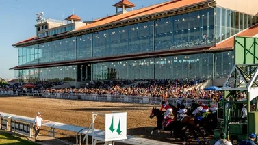Un total de seis de ocho Stakes en Faird Grounds fueron dados por la Gaceta Hípica Internacional 