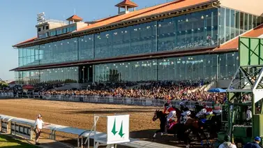 Un total de seis de ocho Stakes en Faird Grounds fueron dados por la Gaceta Hípica Internacional Un total de seis de ocho Stakes en Faird Grounds fueron dados por la Gaceta Hípica Internacional