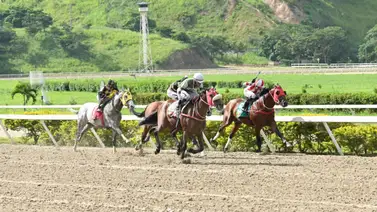 Figurador del Clásico Internacional del Caribe 2023 se alista para la campaña 2025 Figurador del Clásico Internacional del Caribe 2023 se alista para la campaña 2025