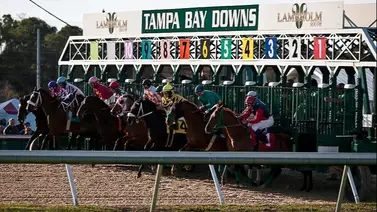 Continúa la lucha entre Samuel Marín y Sammy Camacho por el meeting de Tampa Bay Down Continúa la lucha entre Samuel Marín y Sammy Camacho por el meeting de Tampa Bay Down