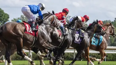 José Armando Bracho llegó a 150 victorias con un batacazo este lunes José Armando Bracho llegó a 150 victorias con un batacazo este lunes