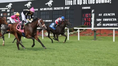 Exacta criolla de extraordinario dividendo se produjo este martes en el hipódromo de Tampa Bay Dows