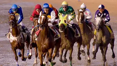 ¿Quieres ser propietario de caballos purasangres en Estados Unidos? Acá te explicamos qué debes hacer ¿Quieres ser propietario de caballos purasangres en Estados Unidos? Acá te explicamos qué debes hacer