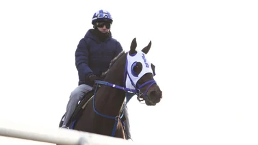 Bentornato contra el ganador del Kentucky Derby este jueves en Santa Anita Park 