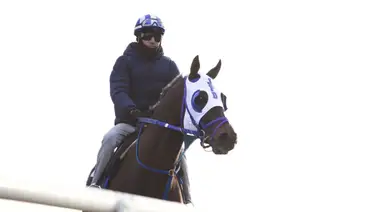 Bentornato contra el ganador del Kentucky Derby este jueves en Santa Anita Park Bentornato contra el ganador del Kentucky Derby este jueves en Santa Anita Park