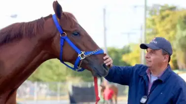 El entrenador Antonio Sano esta semana pudiera arribar a los 1.000 triunfos de por vida en Estados Unidos El entrenador Antonio Sano esta semana pudiera arribar a los 1.000 triunfos de por vida en Estados Unidos