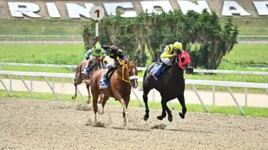 Un gran final que quedará en el recuerdo de la afición hípica de La Rinconada Un gran final que quedará en el recuerdo de la afición hípica de La Rinconada