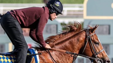 Hijo de Justify que costó $725.000 debuta este jueves en Santa Anita Park