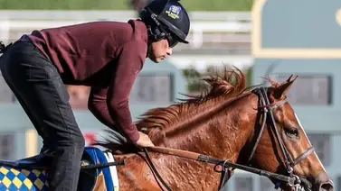 Hijo de Justify que costó $725.000 debuta este jueves en Santa Anita Park Hijo de Justify que costó $725.000 debuta este jueves en Santa Anita Park