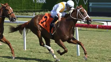 Gustavo Delgado abre la jornada de hoy jueves con triunfo en el hipódromo de Gulfstream Park Gustavo Delgado abre la jornada de hoy jueves con triunfo en el hipódromo de Gulfstream Park