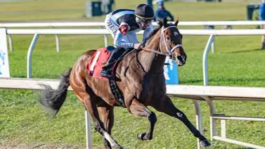 Built marcó el ritmo y se hizo inalcanzable en el Gun Runner Stakes Built marcó el ritmo y se hizo inalcanzable en el Gun Runner Stakes