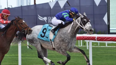 Superfecta de entrenadores venezolanos este jueves en Gulfstream Park
