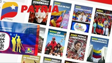Sistema Patria