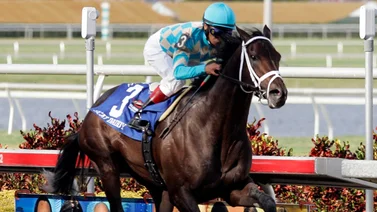 Nieto de Scat Daddy gana la primera edición del Laffy Pincay Jr. Stakes G2