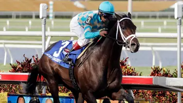 Nieto de Scat Daddy gana la primera edición del Laffy Pincay Jr. Stakes G2 Nieto de Scat Daddy gana la primera edición del Laffy Pincay Jr. Stakes G2