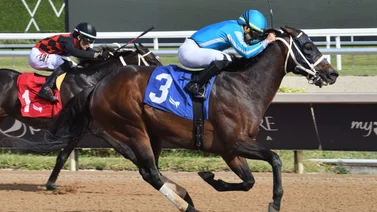 Yunta venezolana se toma la foto la tarde del jueves en Gulfstream Park