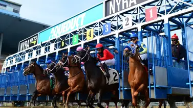 Junior Alvarado y Mychel Sánchez estarán en la mejor rentada en New York Junior Alvarado y Mychel Sánchez estarán en la mejor rentada en New York