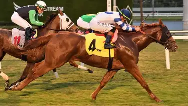 Indetenible Irad Ortiz Jr. quien logra "back to back" en Gulfstream Park Indetenible Irad Ortiz Jr. quien logra "back to back" en Gulfstream Park