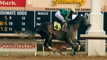 José Armando Bracho rompe la taquilla de este jueves en el hipódromo de Mahoning Valley Race
