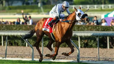 Estos son los 56 Graded Stakes que ganó Flavien Prat en el 2024 (+Listado) Estos son los 56 Graded Stakes que ganó Flavien Prat en el 2024 (+Listado)