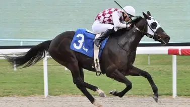 Jinete venezolano muy cerca de alcanzar una importante cifra de triunfos de por vida en Estados Unidos Jinete venezolano muy cerca de alcanzar una importante cifra de triunfos de por vida en Estados Unidos