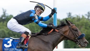 Ganadora de la Pegasus Filly Mare Turf 2024 se lesiona y no podrá correr la Pegasus 2025