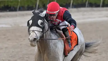 Cinco venezolanos irán por $165.000 dólares en prueba grado tres Cinco venezolanos irán por $165.000 dólares en prueba grado tres