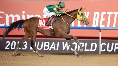 Forever Young vs Ushba Tesoro este domingo 29 en la Tokyo Daishoten G1 Forever Young vs Ushba Tesoro este domingo 29 en la Tokyo Daishoten G1