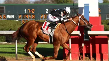 Francisco Arrieta a tiro de las 1.000 victorias en Estados Unidos Francisco Arrieta a tiro de las 1.000 victorias en Estados Unidos