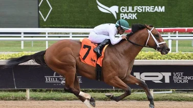 Potro hijo de Into Mischief que costó $1.000.000 Debuta con victoria en Gulfstream Park 