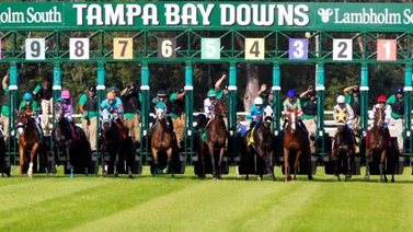 Pick 5 millonario con sabor venezolano de $1,668.60 este sábado en Tampa Bay Downs